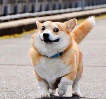 24b0d768efc23f8650bbd58b36837d6a6c34