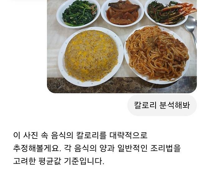 1000018717.jpg 음갤 볶음밥러버의 음식 칼로리를 분석해보자