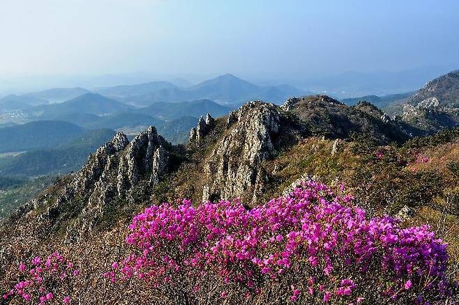 봄철 달마산 풍경. 해남군청 제공