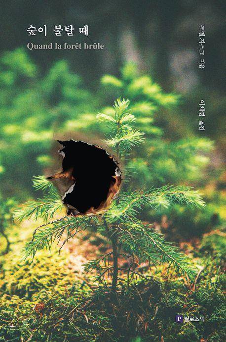 조엘 자스크 '숲이 불탈 때'