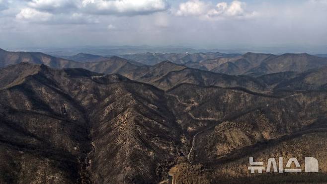 [의성=뉴시스] 김금보 기자 = 29일 경북 의성군 일대 산이 산불에 심하게 훼손되어있다. 2025.03.29. kgb@newsis.com