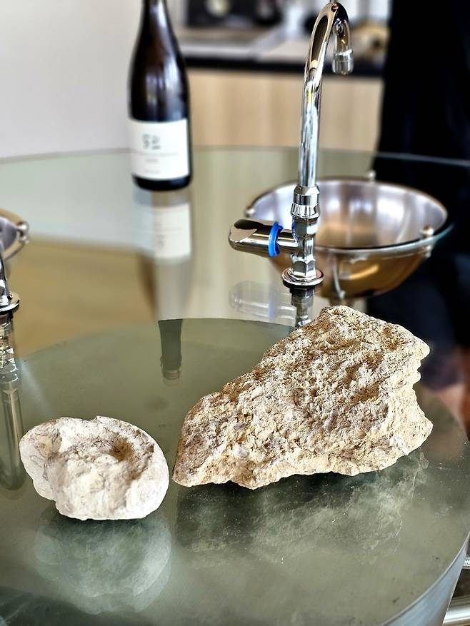 키메르지앙 굴 화석. 최현태 기자