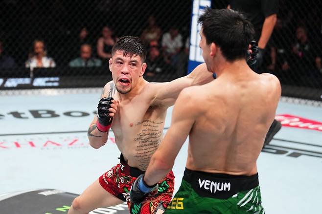 브랜든 모레노(왼쪽)가 스티브 얼섹의 얼굴에 왼손 스트레이트를 적중시키고 있다. 사진=UFC