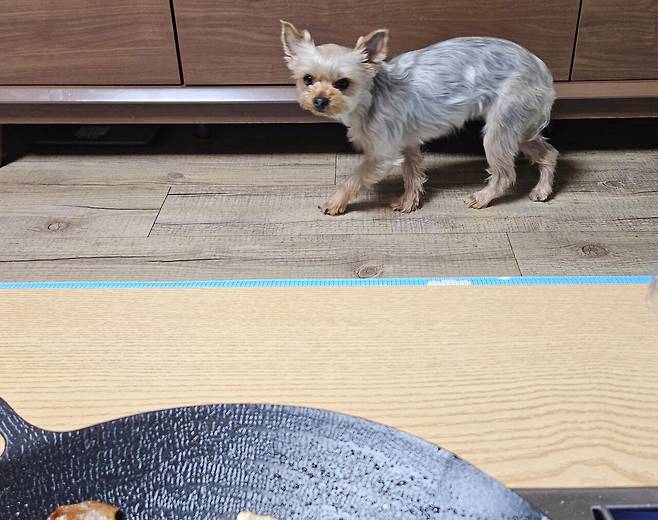 20250329_225201.jpg 냉이 된장찌개에 냉동목심