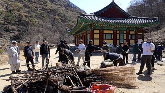 능인학원·대불청·죽림사 신도 등 100여명의 봉사자들이 의성 고운사 산불 피해 복구에 총력을 기울리고 있다. [사진=죽림사]