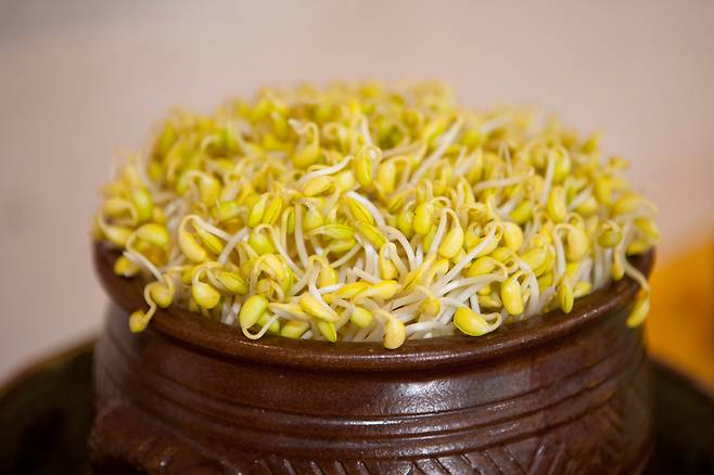 클립아트코리아 제공