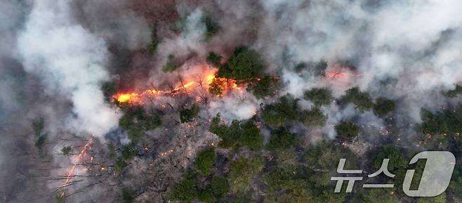 산불이 이어지고 있는 지난 27일 경북 영양군의 야산에서 불길이 번지고 있다. /사진=뉴스1