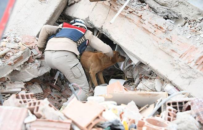 비상시 신속하고 효율적으로 대응한다면 수많은 생명을 구할 수 있다