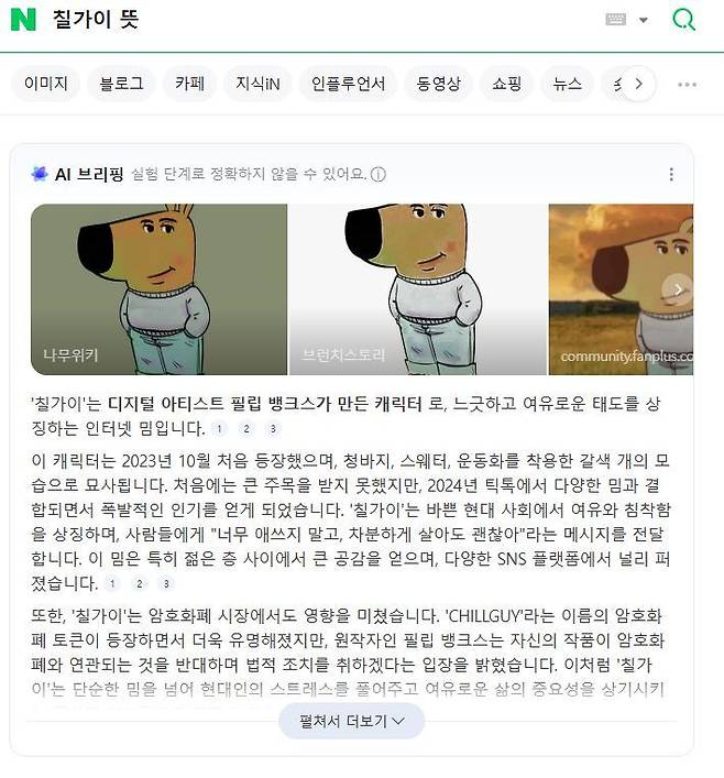 네이버에 '칠가이 뜻'이라고 검색하자 AI가 관련 정보를 요약해 제공하고 있다./네이버 캡처