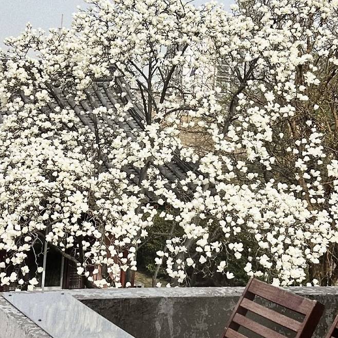 인스타그램 @jungjiyoungcoffee