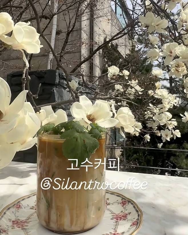 인스타그램 @cilantrocoffee_official