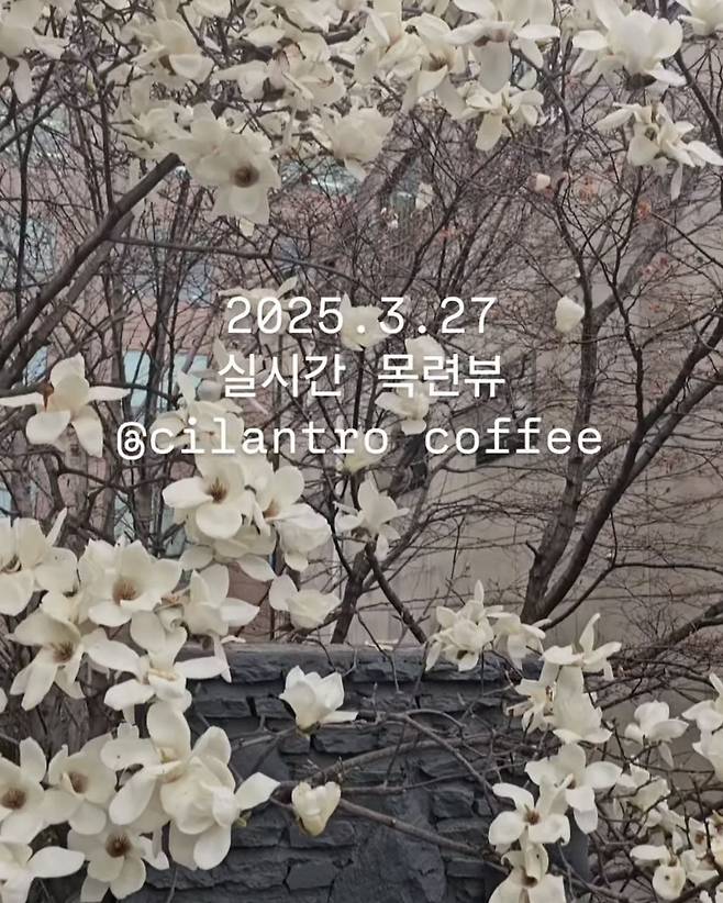 인스타그램 @cilantrocoffee_official