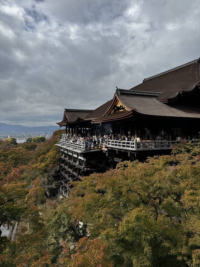 IMG_7451.jpeg 일본 오사카 교토 여행 음식 사진 26장입니다