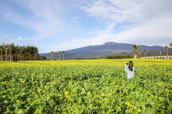 [Travel Bits] Festivals, sights across Korea