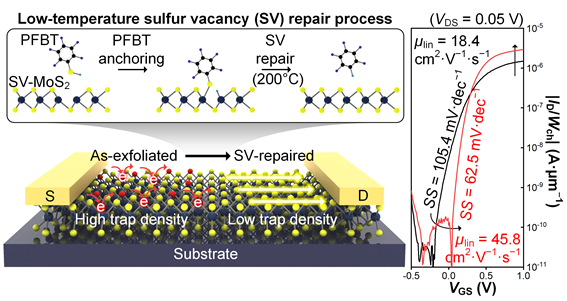 PFBT의 흡착과 탈착을 통한 저온 황 결함 회복 공정 및 전기적 성능 향상.[UNIST 제공]