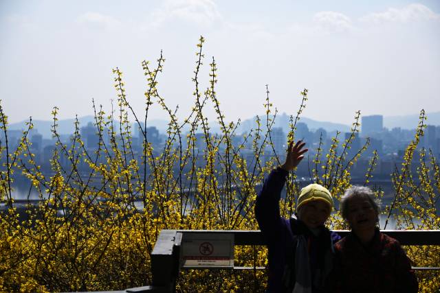 기온이 큰 폭으로 오르며 평년 수준을 회복한 31일 서울 성동구 응봉산을 찾은 시민들이 개나리를 배경으로 추억을 남기고 있다.