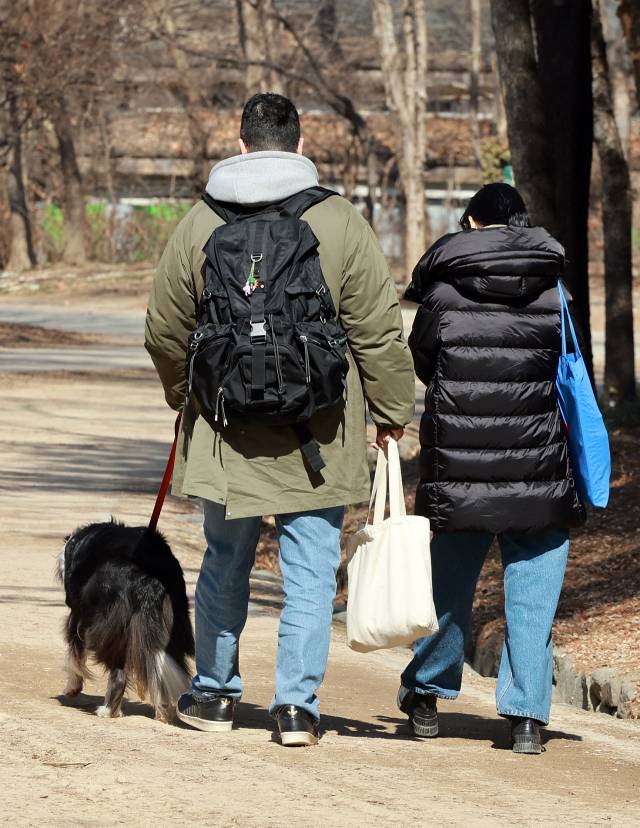 한 시민이 반려견을 산책시키고 있다. 뉴스1