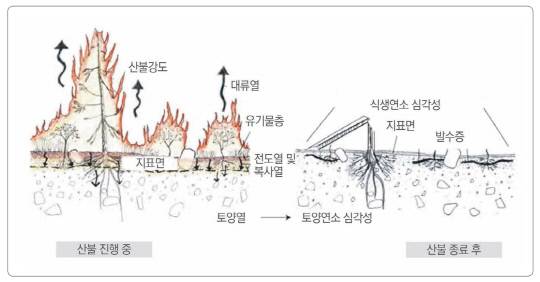 '산불 피해지역' 산사태 발생위험 일반 산림 200배 높아
