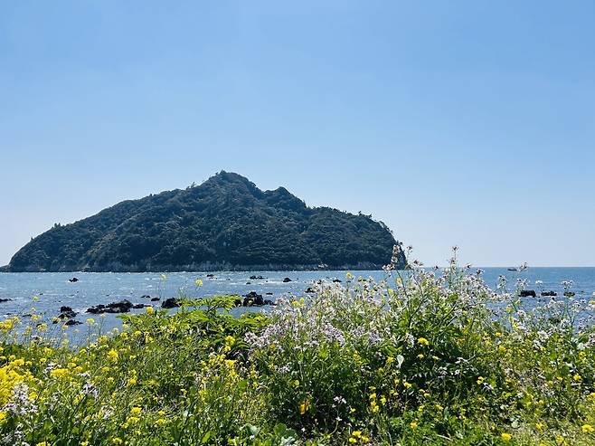 재주도 서귀포 카페에 왔습니다
