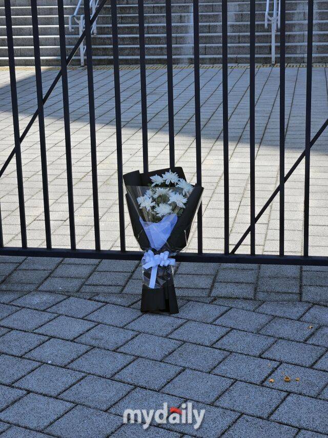 창원NC파크 3루 내야 울타리에 국화꽃이 놓여있다./창원=심혜진 기자