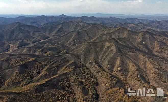 [안동=뉴시스] 김금보 기자 = 30일 경북 안동시와 의성군 경계부근에서 바라본 일대 산하가 산불에 훼손돼있다. 2025.03.30. kgb@newsis.com