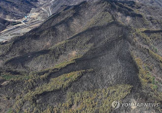산림 할퀸 산불 (안동=연합뉴스) 윤관식 기자 = 지난 29일 경북 안동시 길안면 한 야산이 산불로 인해 검게 변해 있다. 2025.3.30 psik@yna.co.kr