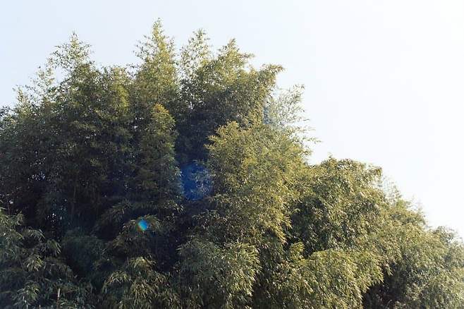 0beb8405b2f66f80239df796429c7019345cffc22d1455595a19d004398f98cc1b22f6cf053484808042cf09944dc684c1c4d6d6c3