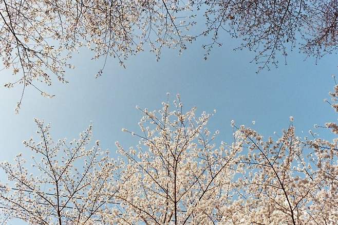 7c988271bc821d80239af391409c70690ed3b152707f82af0294d9467ec1577aa8b32ef0c3d6cc88b74c2e2c6999d7c6d0bd942056