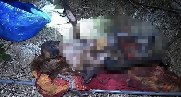 지난달 독일에서 사람의 유해로 오인된 성인용 장난감. 사진=독일 DPA 통신