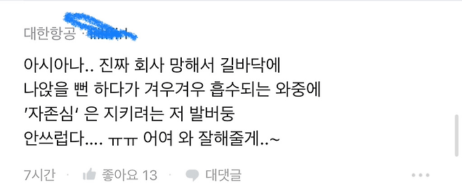 image.png 대한항공 대 아시아나 블라에서 싸움
