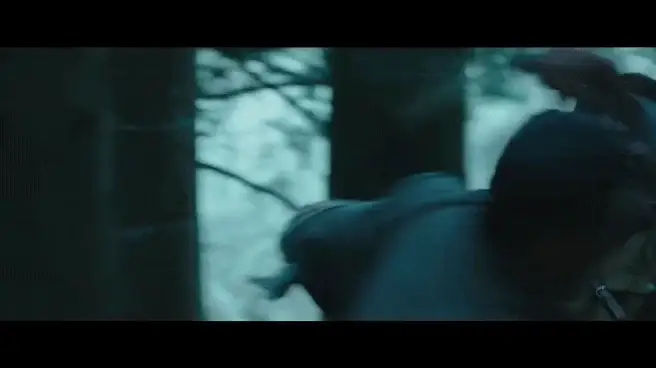 봉오동 전투에서 가장 비판받은 장면