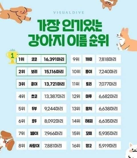 강아지 이름 인기 순위