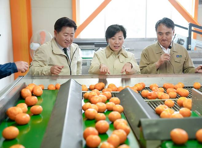 [제주=뉴시스] 오영훈(왼쪽부터) 제주도지사와 송미령 농림축산식품부장관이 지난해 남원농협 농산물산지유통센터(APC) 스마트광센터 선별시설을 살펴보고 있다. (사진=제주도 제공) 2024.05.02. photo@newsis.com *재판매 및 DB 금지