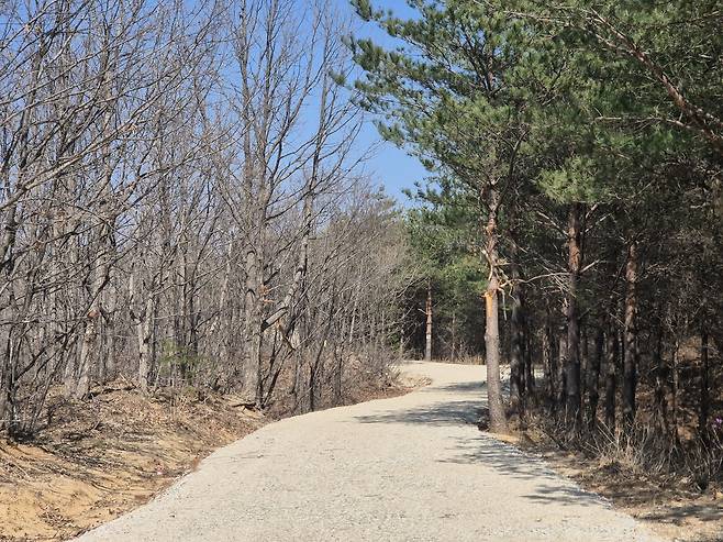 대형 산불 30년…강원 고성 산불피해지 현재 모습 [촬영 류호준]