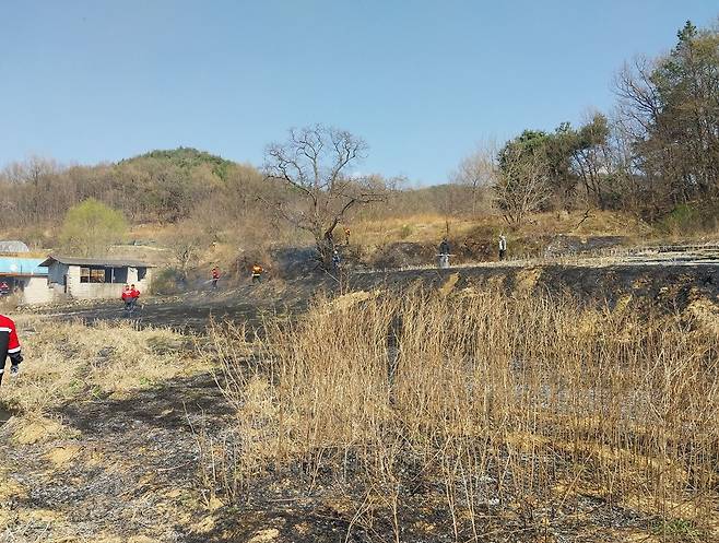 불이 난 예천군 밭 [경북소방본부 제공. 재판매 및 DB금지]