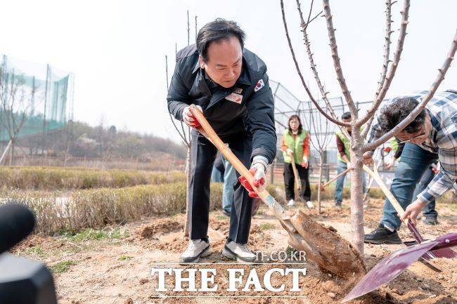 2일 달빛수변공원에서 '감사나무'를 식재하고 있는 이권재 오산시장 /오산시
