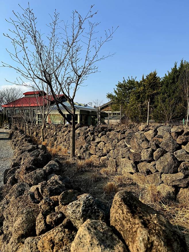 안동 세트장에서 옮긴 춘천세계주류마켓 돌담길.&nbsp; 춘천세계주류마켓 제공