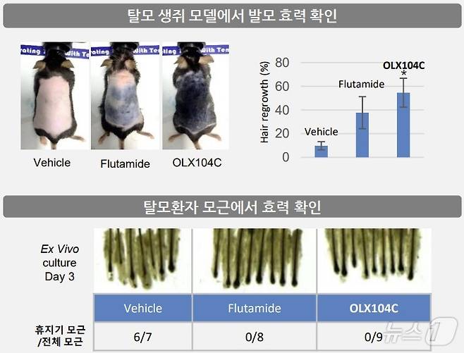 올릭스가 개발 중인 탈모 치료제 'OLX104C' 전임상 결과.(올릭스 제공)/뉴스1