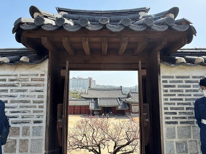 승화루 뒤쪽에 있는 문에서 바라본 창경궁의 모습