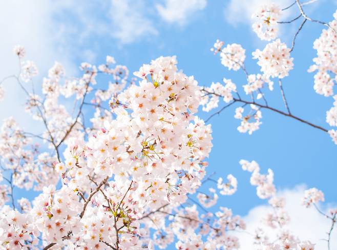 지루피부염의 증상과 관리법이 주목된다. 사진은 기사 내용과 무관함. /사진=이미지투데이