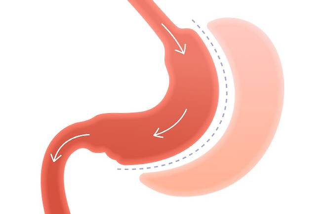 사진=게티이미지