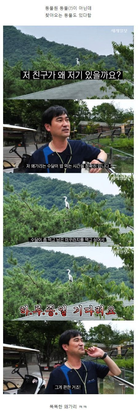 image.png 자연친화적으로 운영하는 청주동물원