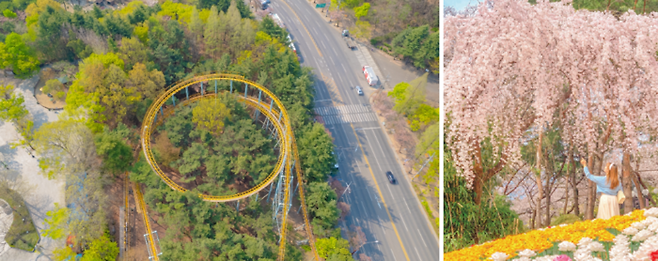 이월드 / 사진=이월드 홈페이지