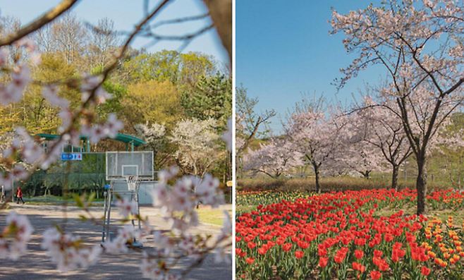 인천대공원 / 사진=한국관광공사 홈페이지