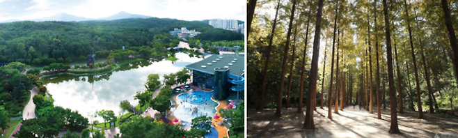 울산대공원/ 사진=울산시설공단 홈페이지