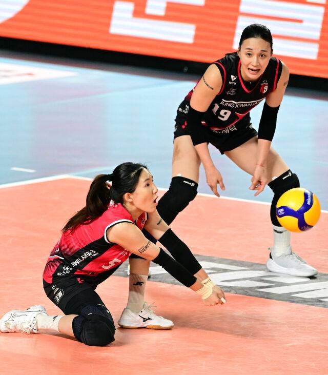 정관장 노란./KOVO