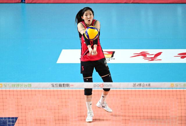 정관장 노란./KOVO