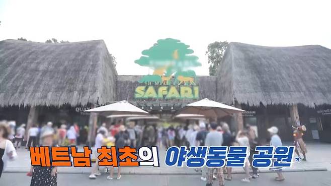 /사진 = ‘니돈내산 독박투어3’