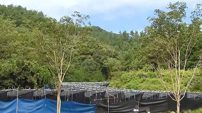 [전주MBC 자료사진]