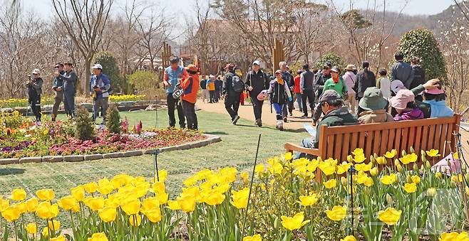 6일 전북자치도 임실군 붕어섬에서 '옥정호 벚꽃축제'가 열리고 있는 가운데 많은 관광객들이 이곳을 찾고 있따.(임실군제공. 재판매 및 DB금지)2025.4.6/뉴스1 ⓒ News1 김동규 기자